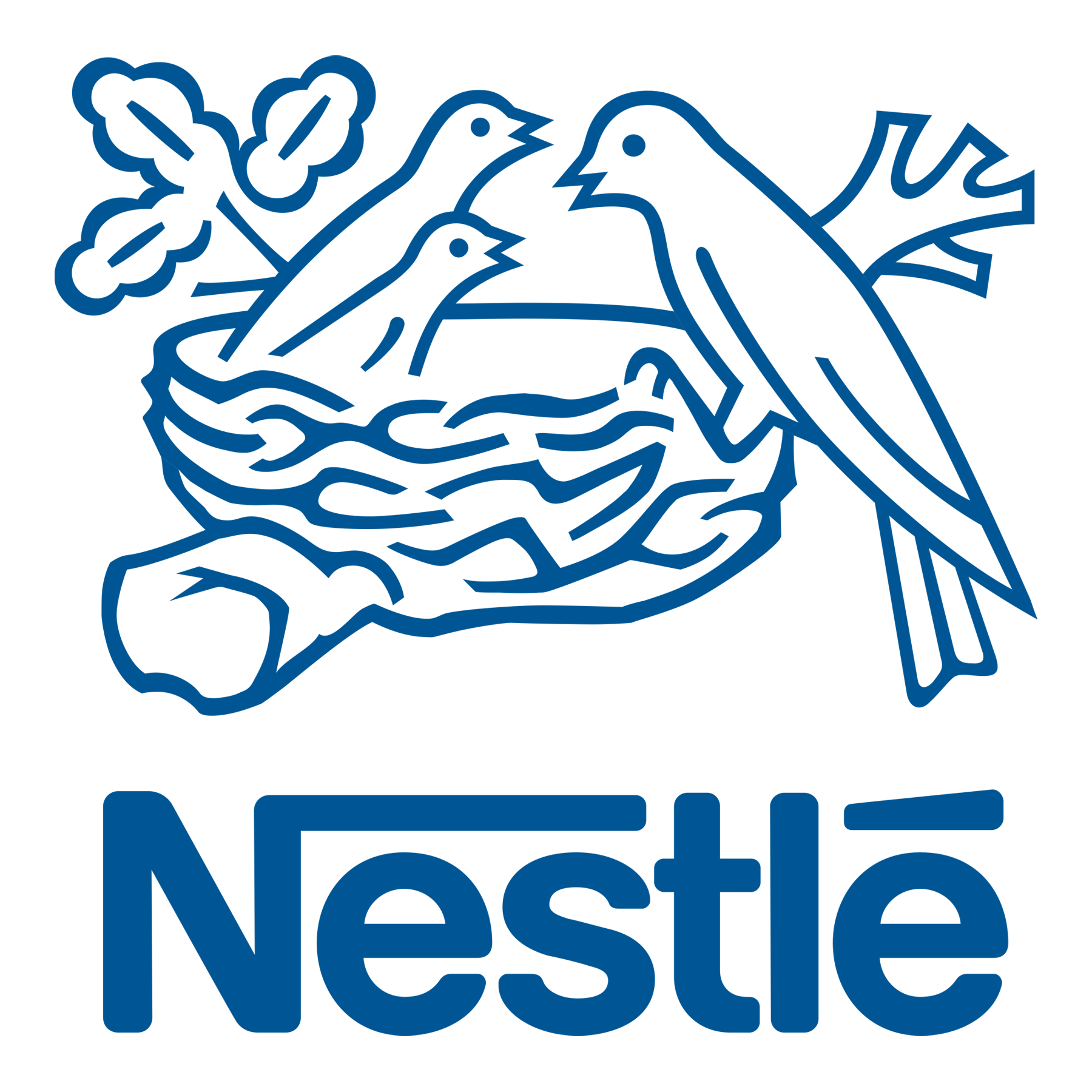 PT. Nestle Indonesia